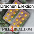 Dragon Erection new10